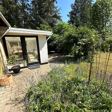 Large Room With Balcony At The Edge Of The Forest Lokken Exterior photo