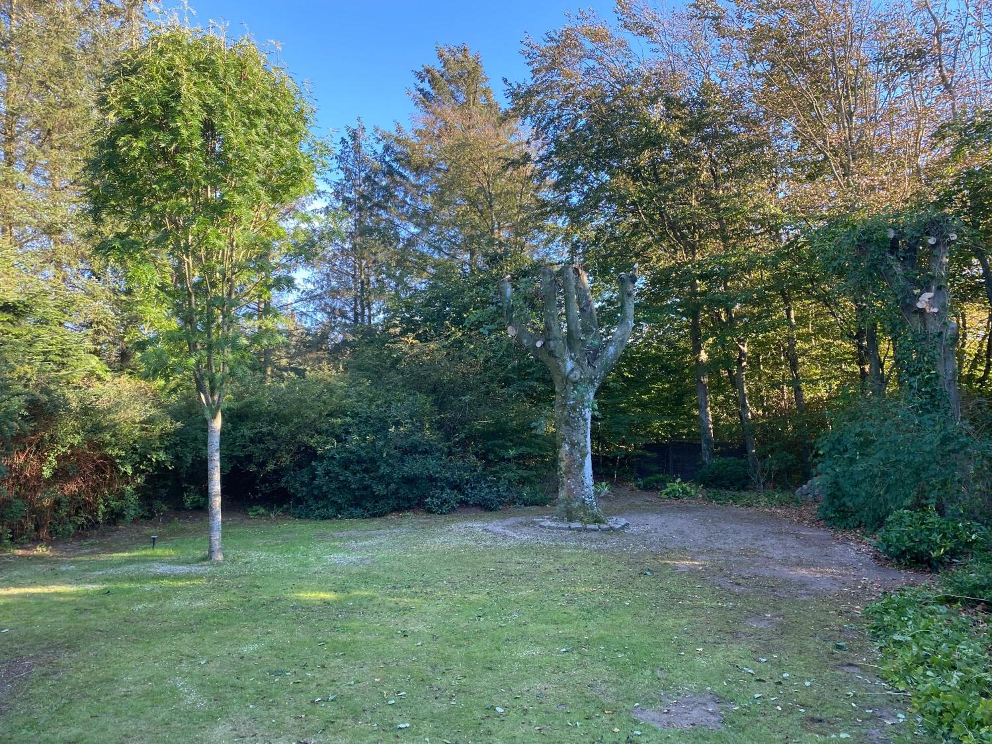 Large Room With Balcony At The Edge Of The Forest Lokken Exterior photo